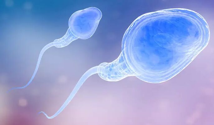 Сперматозоиди могу бити присутни у преејакулату мушкарца